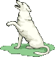 ntja litšoantšo-tse-monate-gif